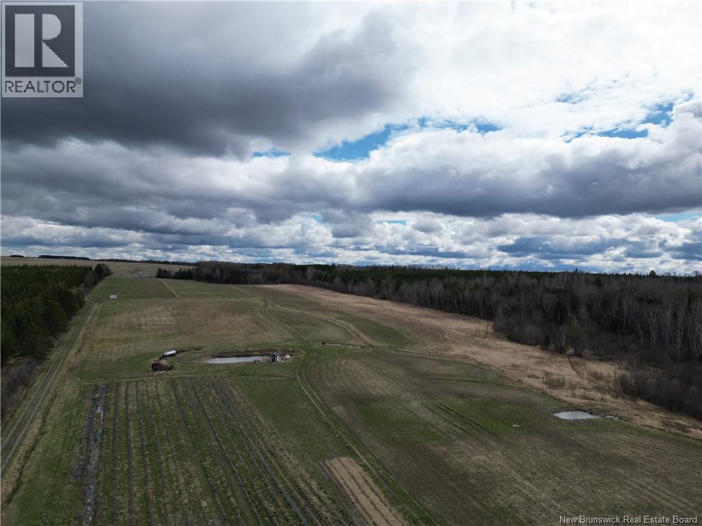 Laplante Road, Saint-Léonard-Parent, New Brunswick  E7E 0E1 - Photo 20 - NB139447