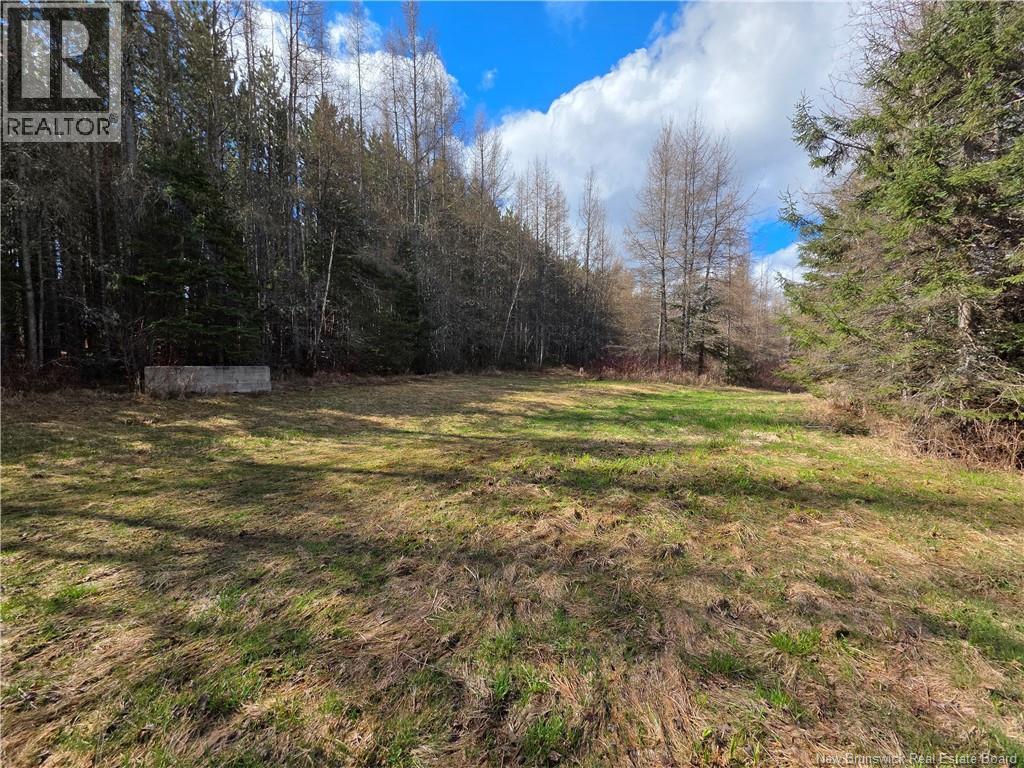 Laplante Road, Saint-Léonard-Parent, New Brunswick  E7E 0E1 - Photo 17 - NB139447