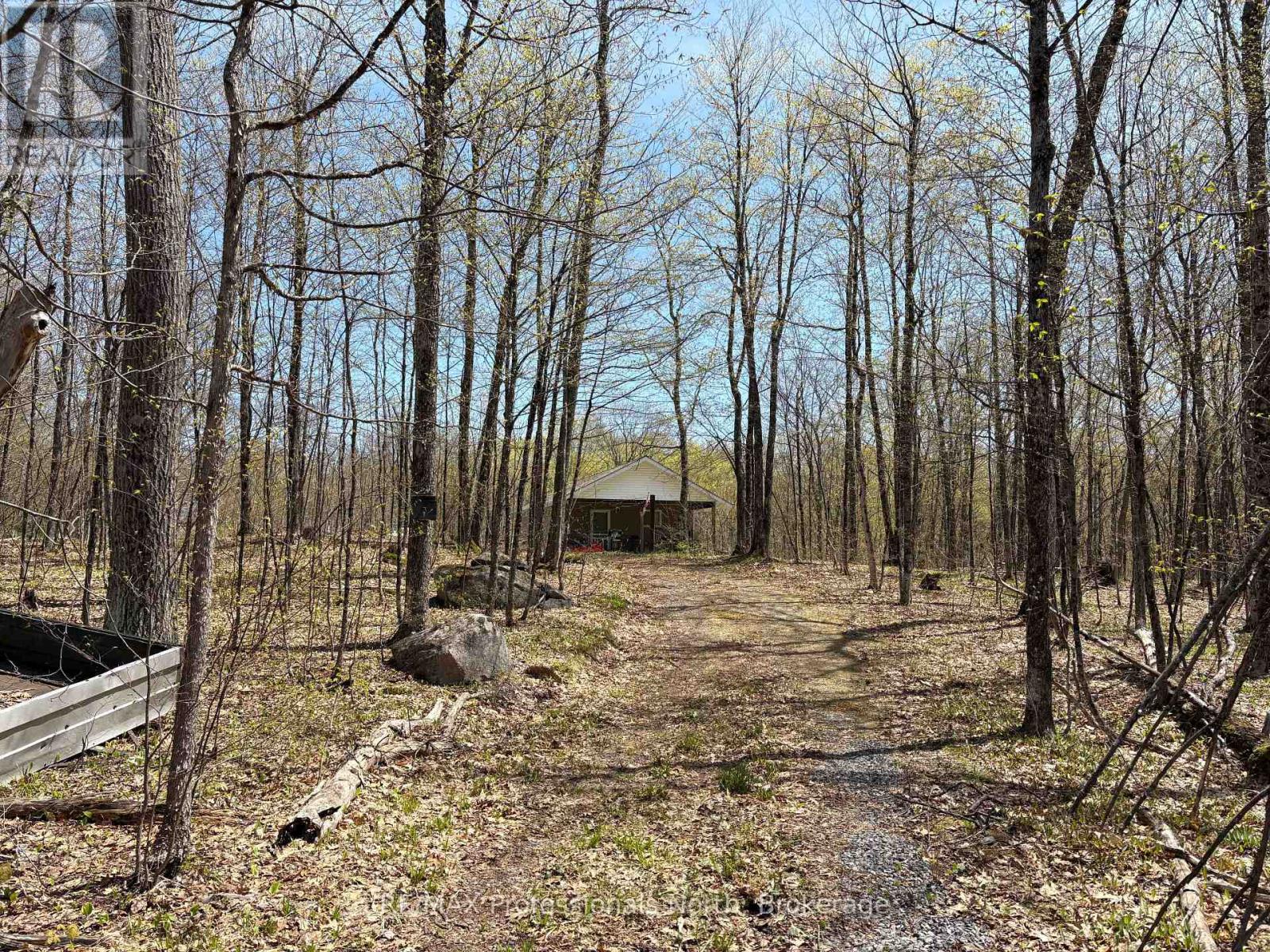 2346 Kushog Lake Road, Algonquin Highlands (Stanhope), Ontario  K0M 1S0 - Photo 14 - X13141894