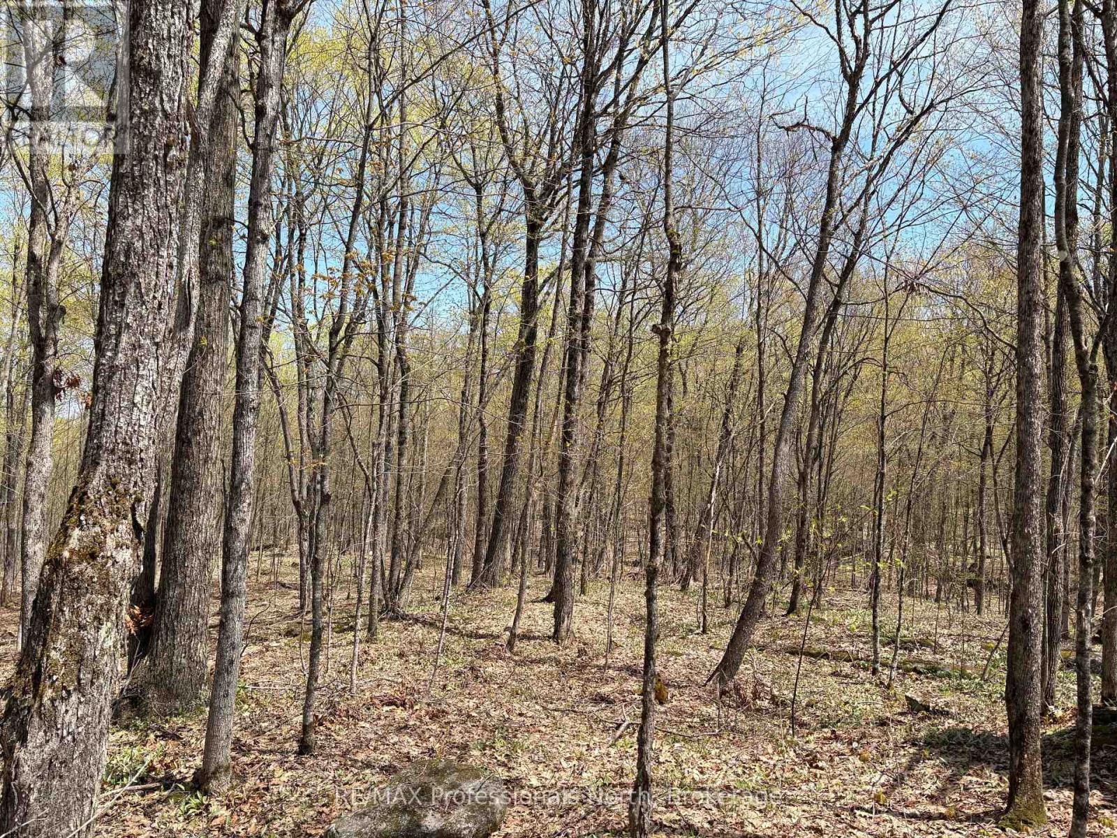 2346 Kushog Lake Road, Algonquin Highlands (Stanhope), Ontario  K0M 1S0 - Photo 19 - X13141894