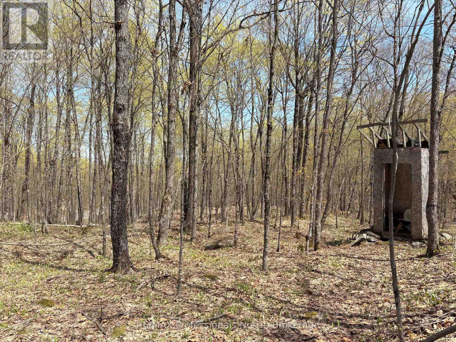 2346 Kushog Lake Road, Algonquin Highlands (Stanhope), Ontario  K0M 1S0 - Photo 20 - X13141894