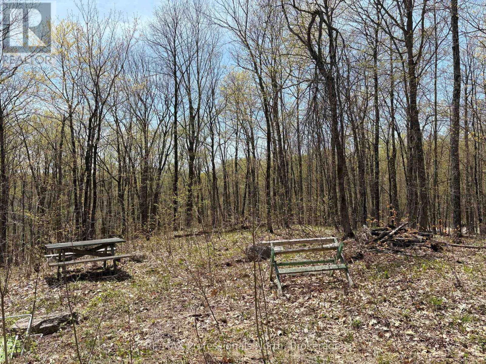 2346 Kushog Lake Road, Algonquin Highlands (Stanhope), Ontario  K0M 1S0 - Photo 29 - X13141894