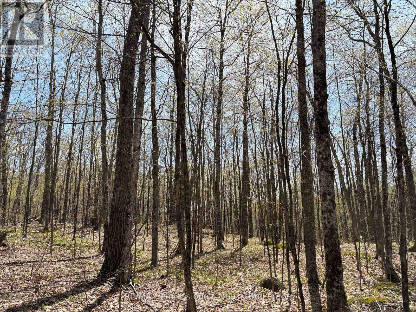 2346 Kushog Lake Road, Algonquin Highlands (Stanhope), Ontario  K0M 1S0 - Photo 32 - X13141894