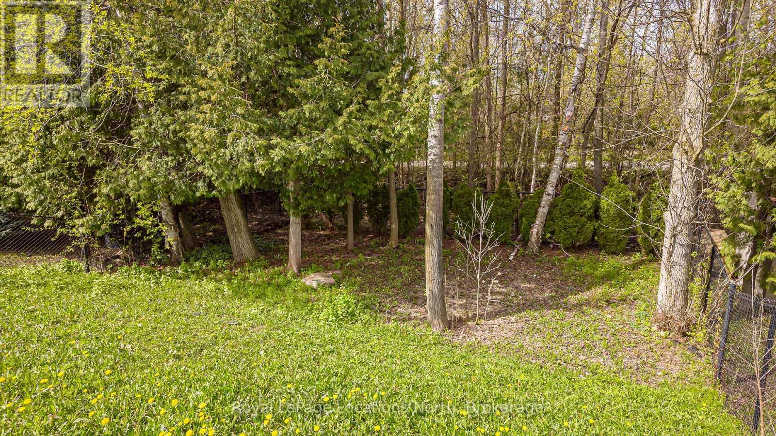 6 Williams Street, Collingwood, Ontario  L9Y 0B9 - Photo 47 - S13142032