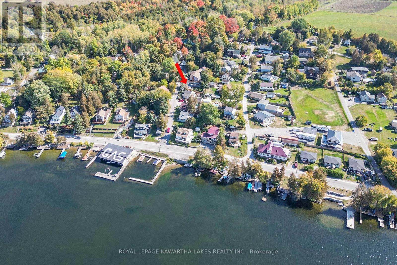 12 Birchcliff Avenue, Kawartha Lakes, Ontario  K0M 1L0 - Photo 39 - X13141982