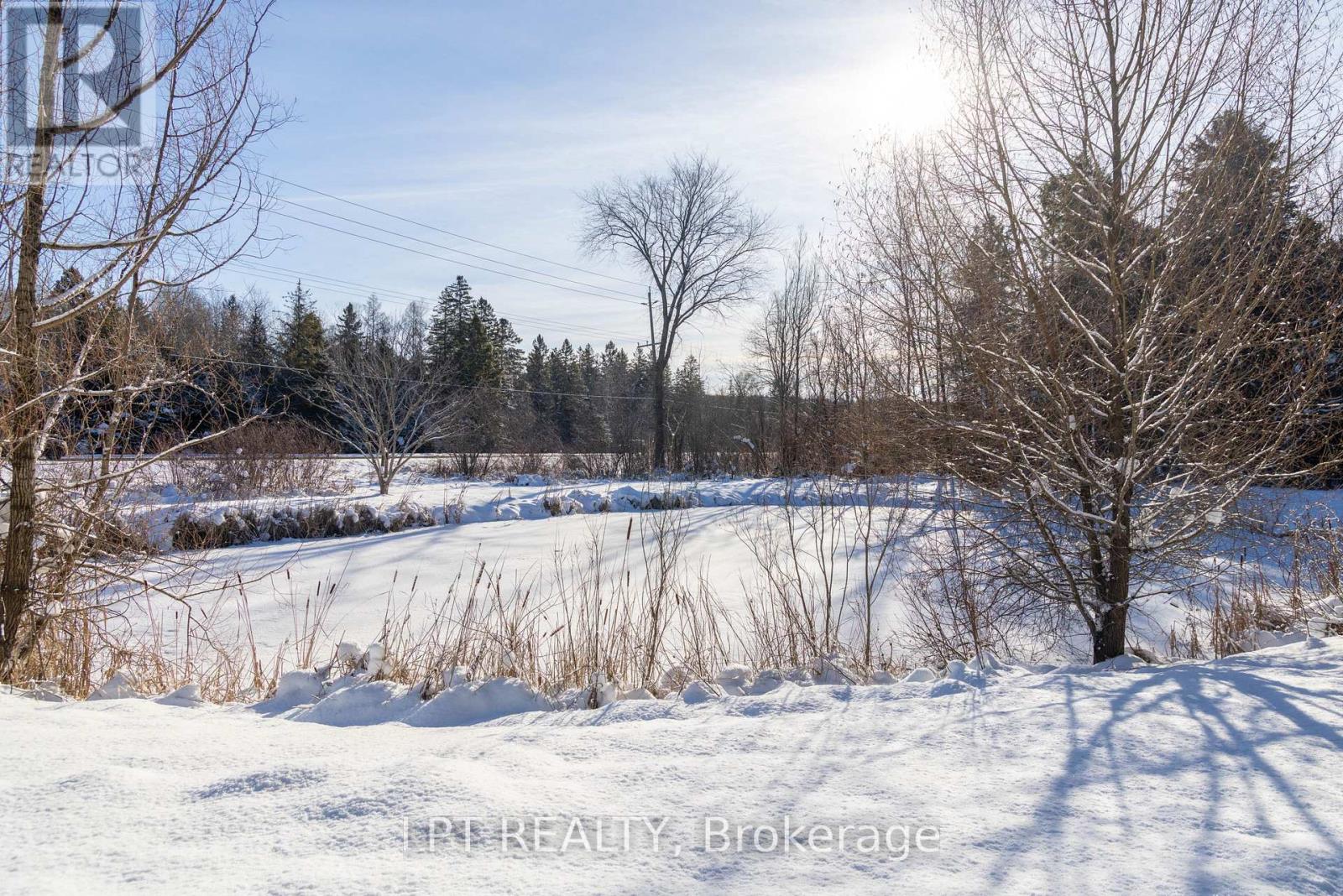 21626 Highway 48 Road, East Gwillimbury, Ontario  L0G 1M0 - Photo 5 - N12837810