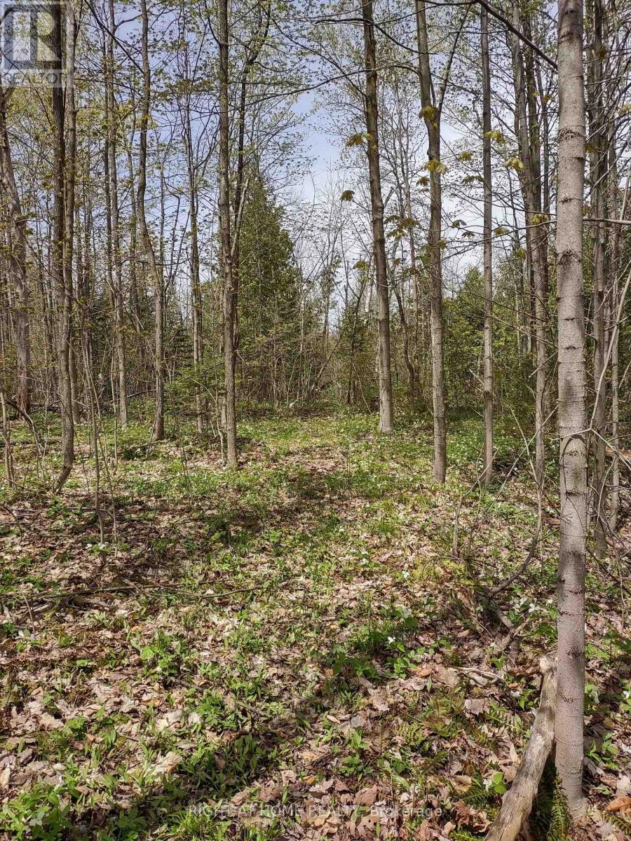 Ptl 26 & Ptl 27, Con 7, Oro, Oro-Medonte, Ontario  L0L 2E0 - Photo 23 - S13053910
