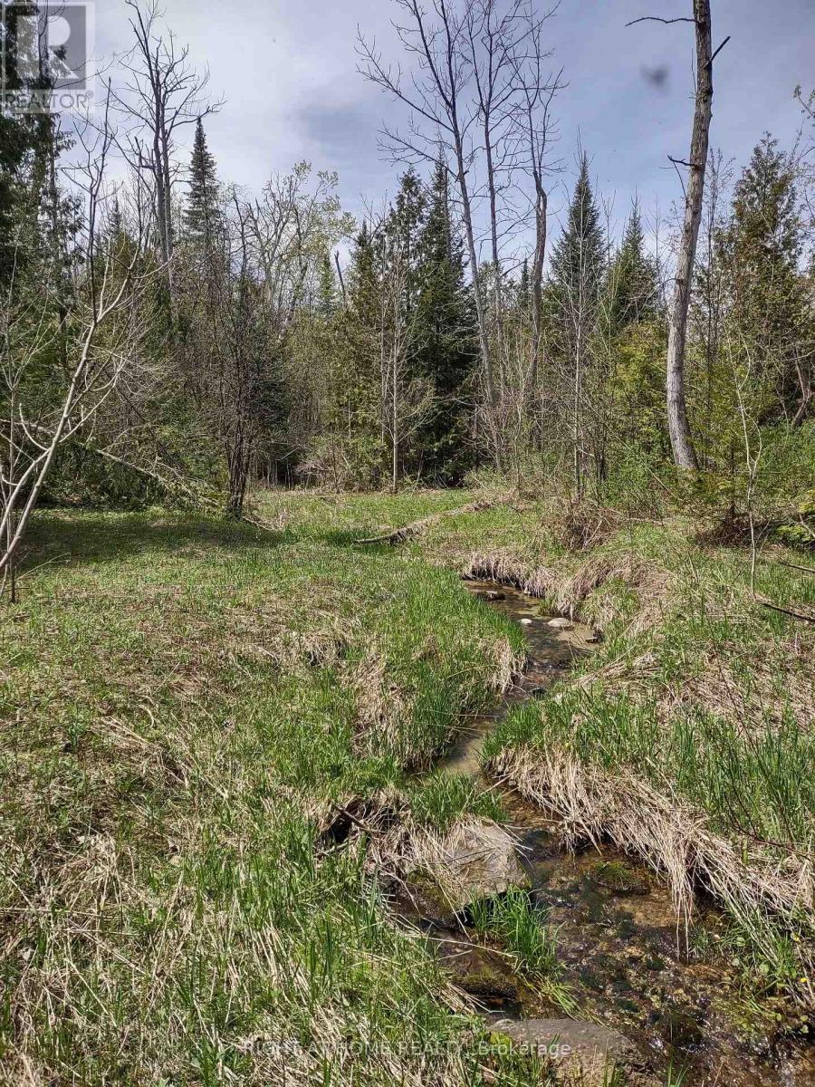 Ptl 26 & Ptl 27, Con 7, Oro, Oro-Medonte, Ontario  L0L 2E0 - Photo 21 - S13053910