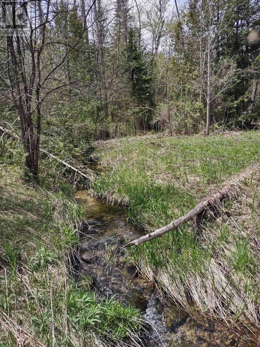 Ptl 26 & Ptl 27, Con 7, Oro, Oro-Medonte, Ontario  L0L 2E0 - Photo 20 - S13053910