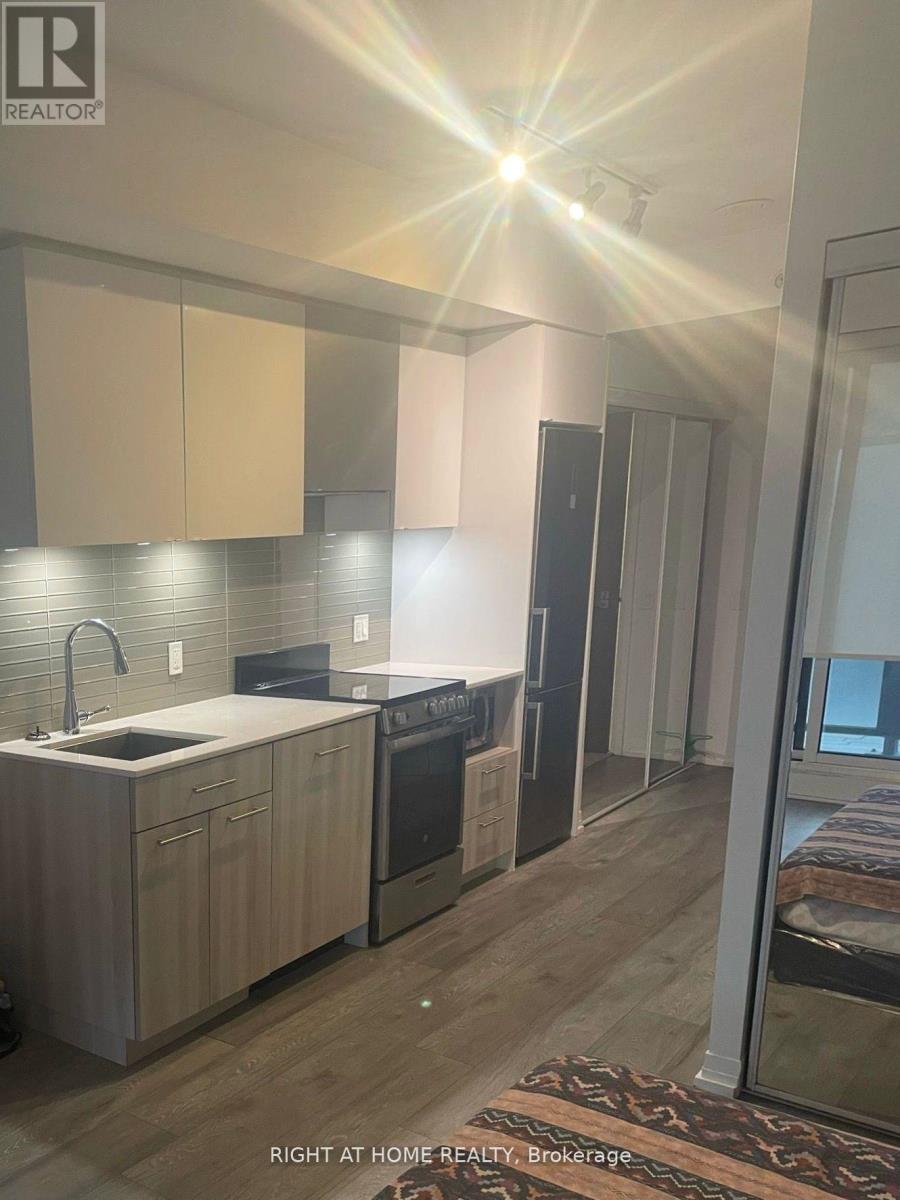 501 - 251 Jarvis Street, Toronto, Ontario  M5B 0C3 - Photo 4 - C13142138