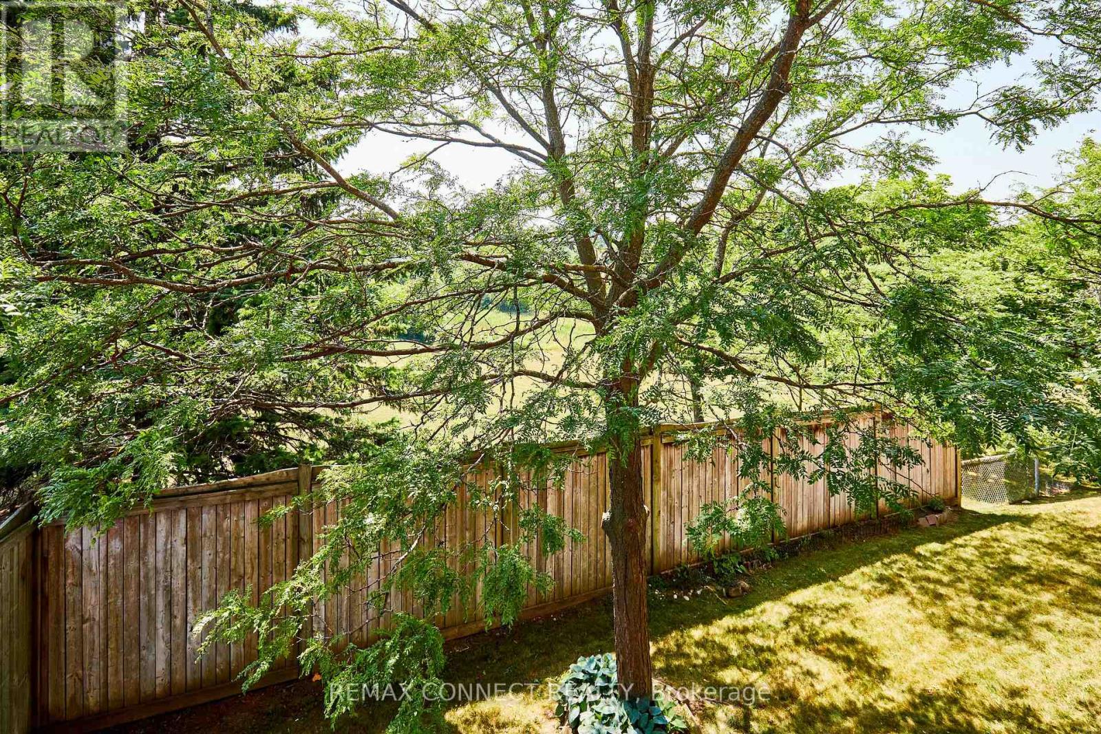 31 - 575 Steeple Hill, Pickering (Woodlands), Ontario  L1V 7E4 - Photo 19 - E13142470