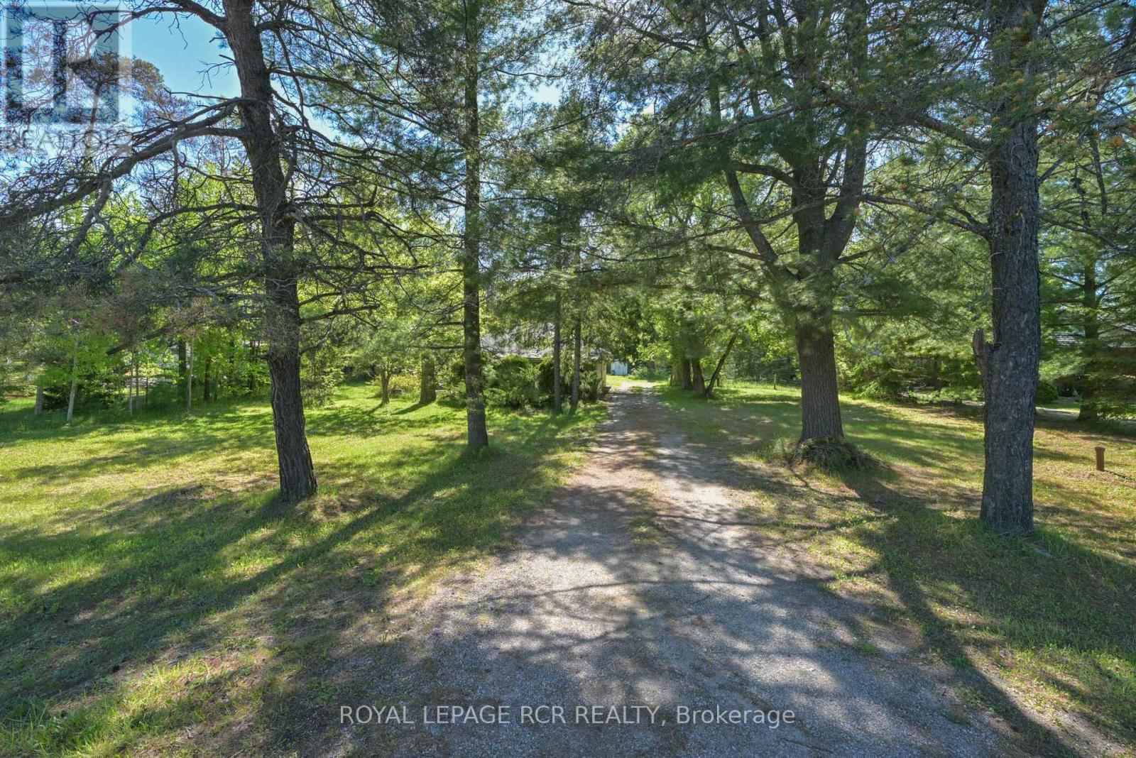 7262 County Road 13, Adjala-Tosorontio, Ontario  L0M 1M0 - Photo 14 - N13142136