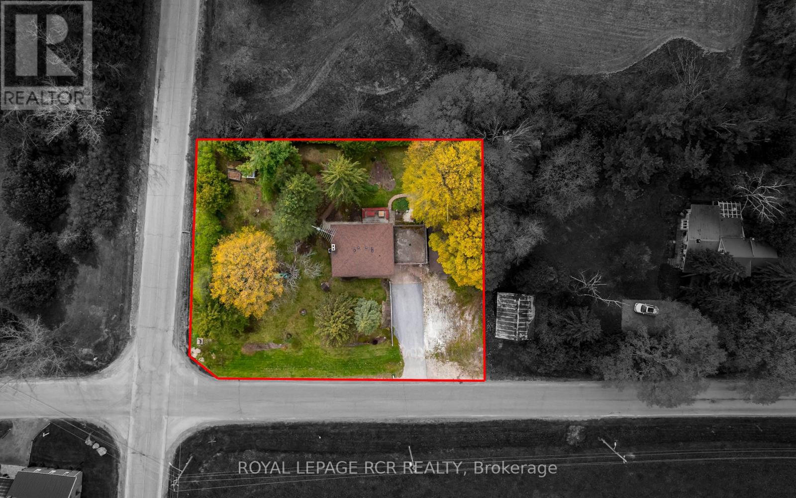 8753 5th Side Road, Adjala-Tosorontio, Ontario  L0N 1P0 - Photo 3 - N13142302