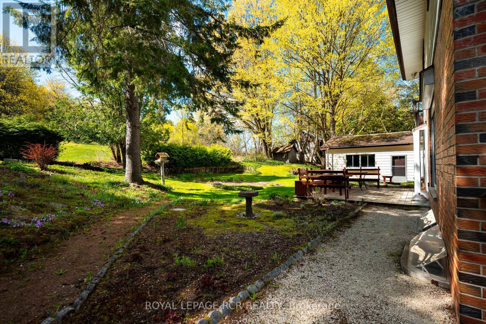 8753 5th Side Road, Adjala-Tosorontio, Ontario  L0N 1P0 - Photo 42 - N13142302