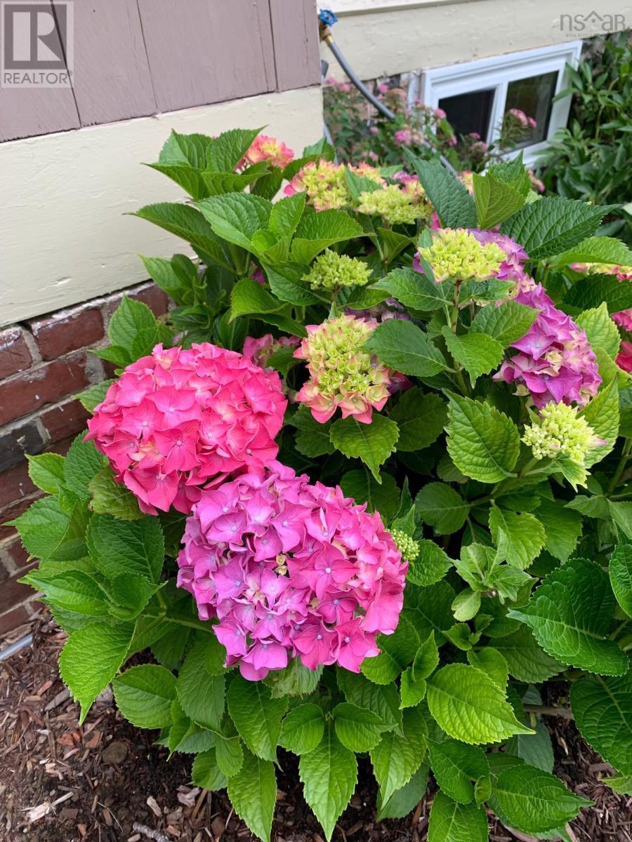 picture 44