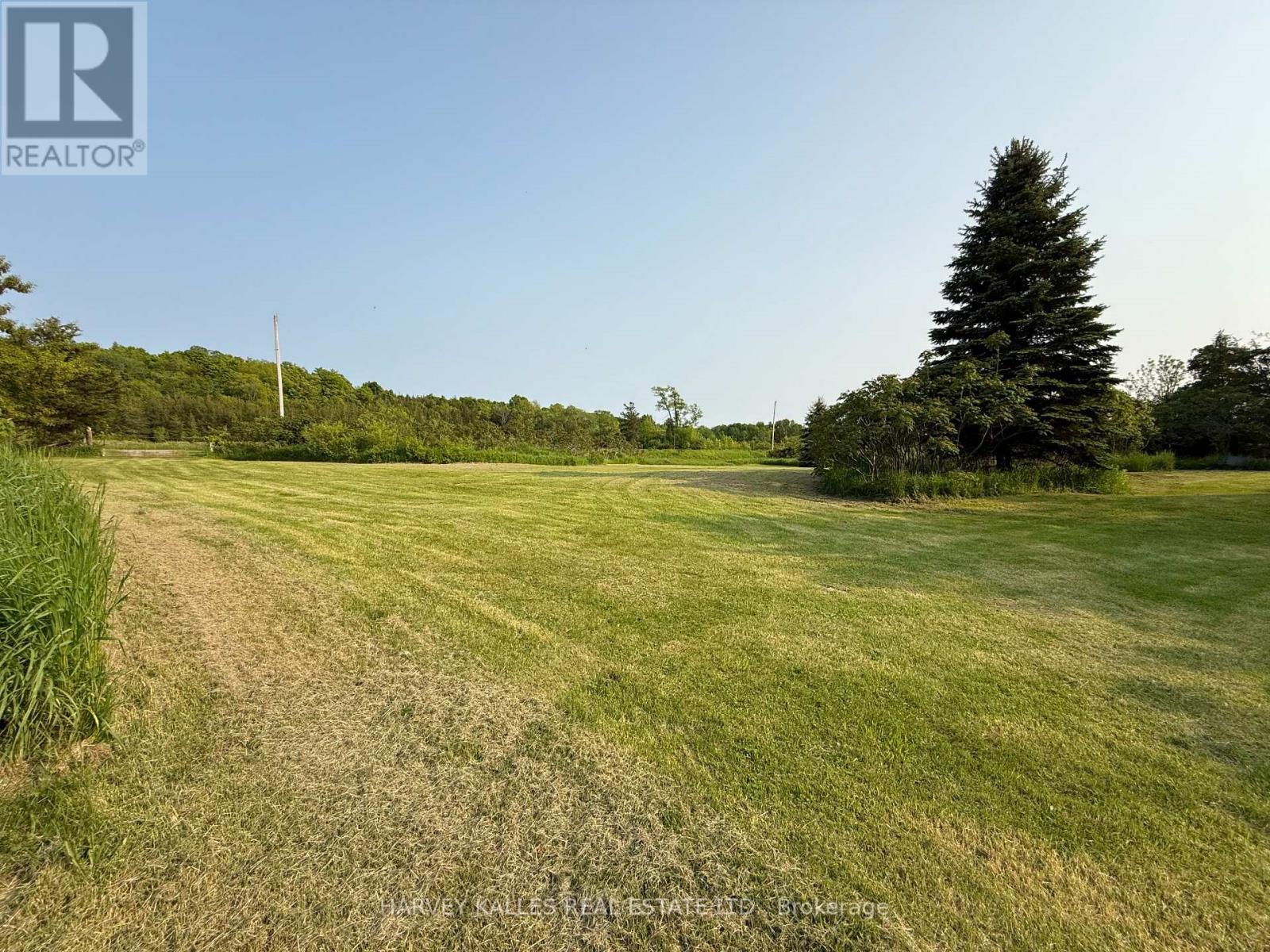 1032 County Road 13 Road, Prince Edward County, Ontario  K0K 2P0 - Photo 3 - X12611152