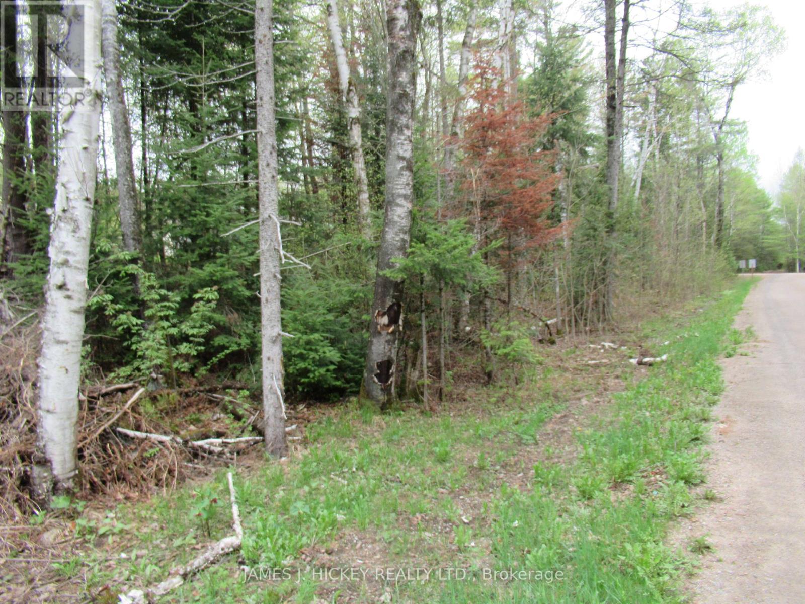 235 Brouse Road, Deep River, Ontario  K0J 1P0 - Photo 3 - X12799774