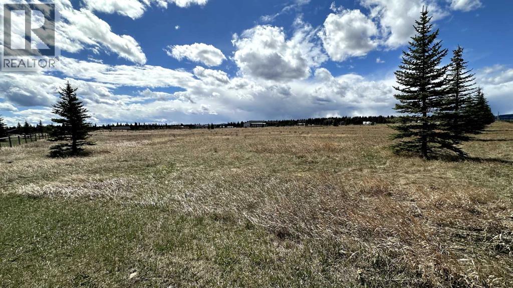 20, 6115 Township Road 325, Rural Mountain View County, Alberta  T0M 1X0 - Photo 9 - A2295244