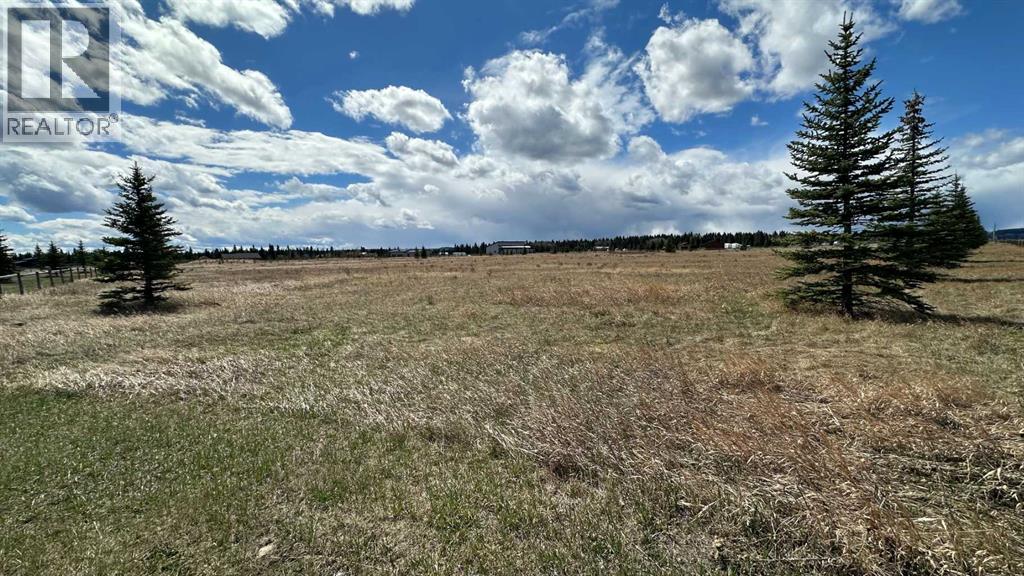20, 6115 Township Road 325, Rural Mountain View County, Alberta  T0M 1X0 - Photo 10 - A2295244