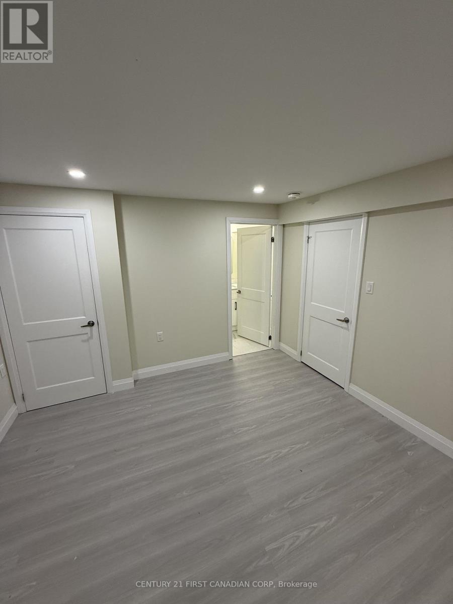 Basement - 1266 Silverfox Drive, London North, Ontario  N6G 0V8 - Photo 11 - X13143018