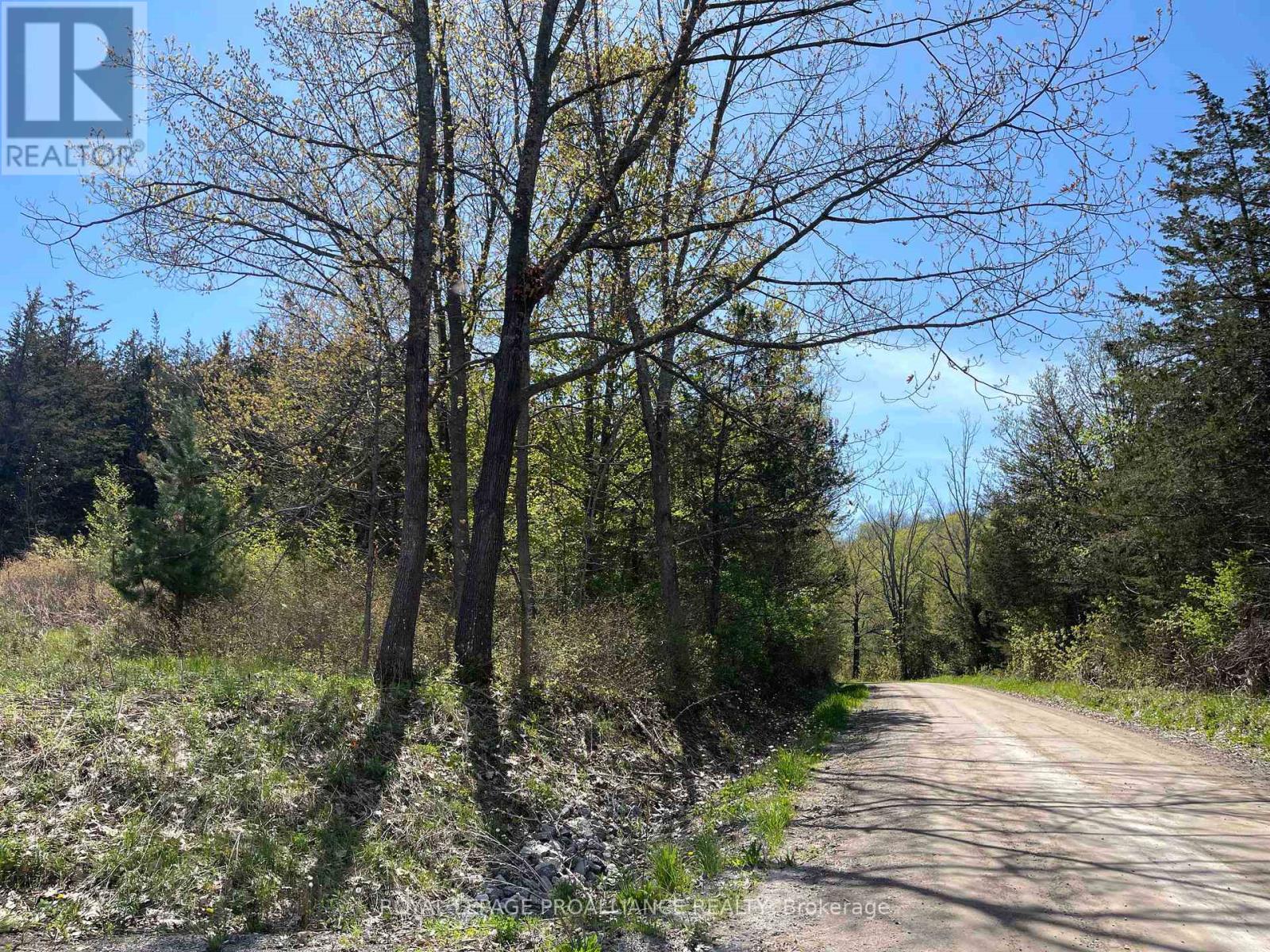 430 Beaver Road, Trent Hills, Ontario  K0K 1L0 - Photo 15 - X12877460