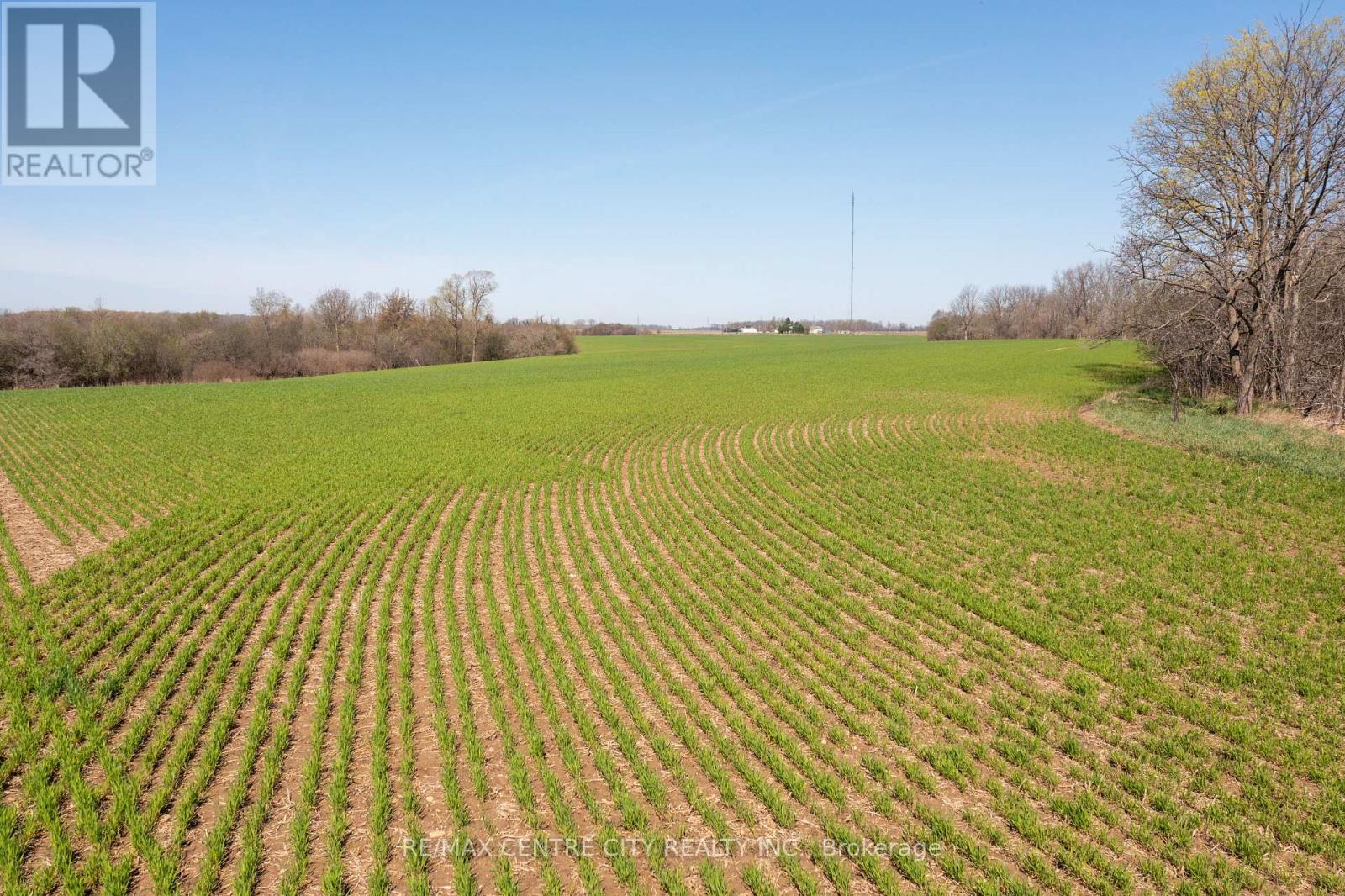 44382 Ferguson Line, Central Elgin, Ontario  N5P 3T3 - Photo 13 - X12754526