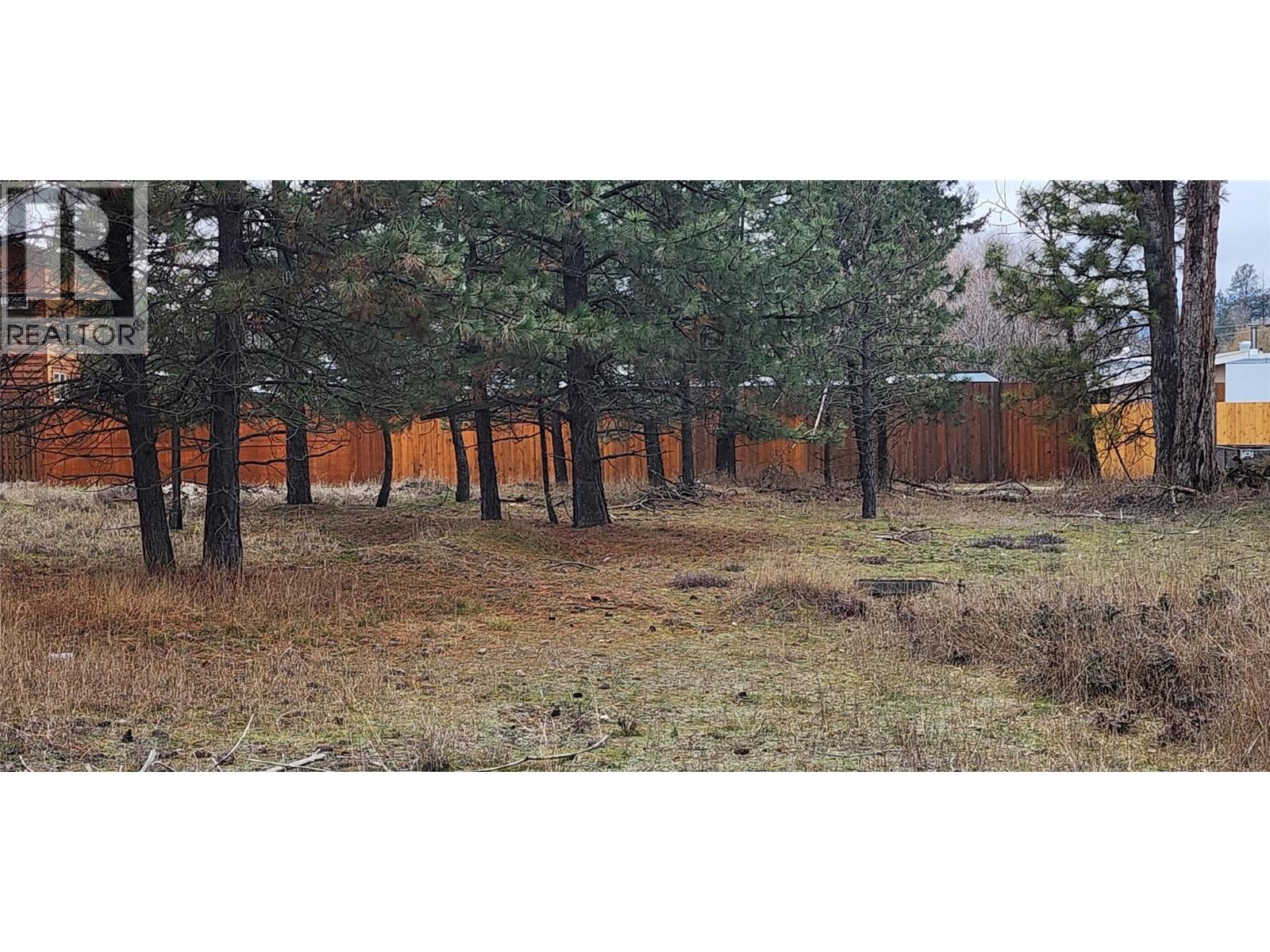 Lot 4 7th Street, Grand Forks, British Columbia V0H 1H0 - Photo 4 - 10373245
