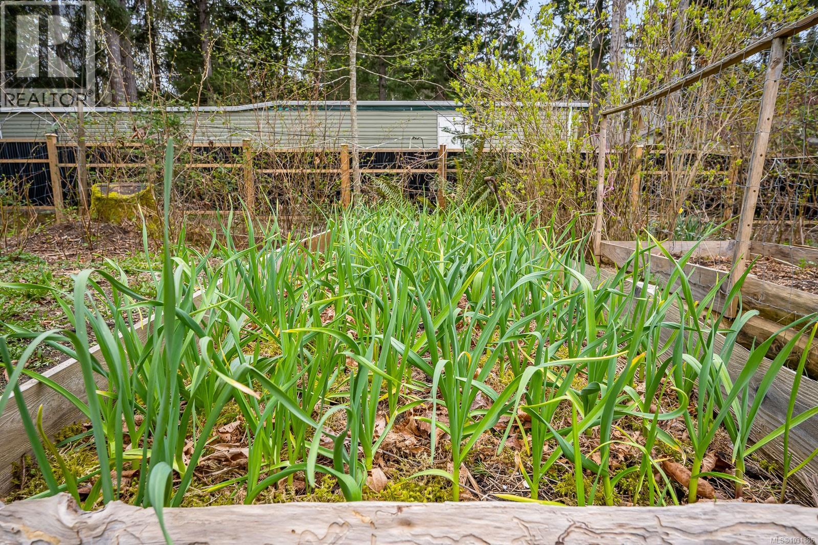 2491 Oakes Rd, Black Creek, British Columbia  V9J 1J1 - Photo 46 - 1031886
