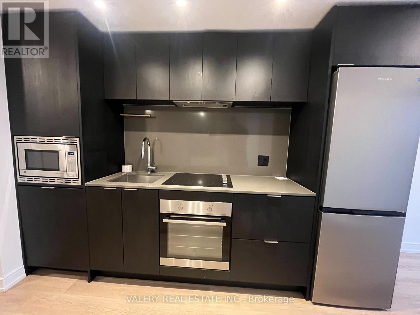 528 - 1 Jarvis Street, Hamilton, Ontario  L8R 3J2 - Photo 4 - X13143750
