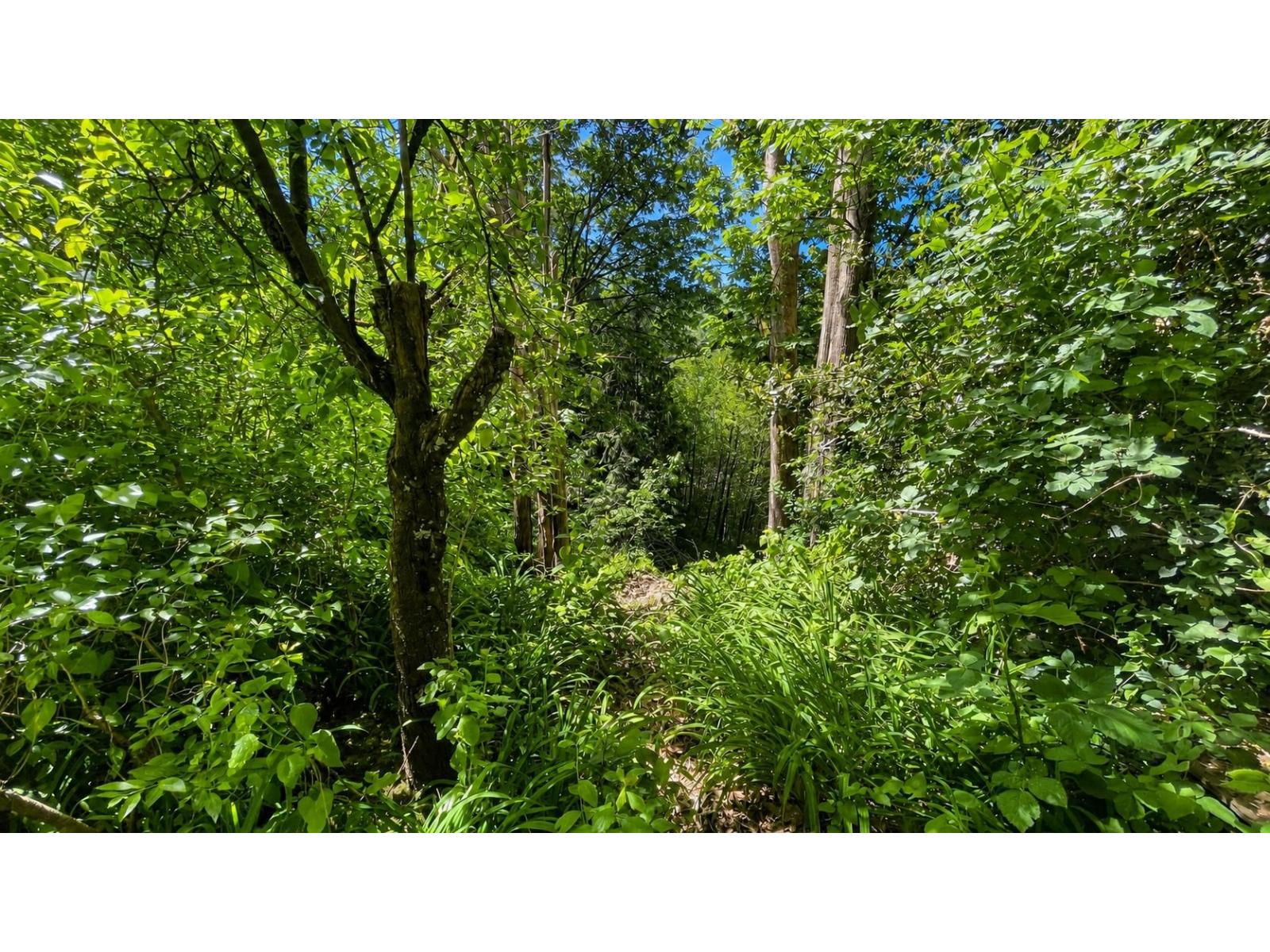 34150 Glenwill Street, Abbotsford, British Columbia  V2S 1X6 - Photo 12 - R3124382