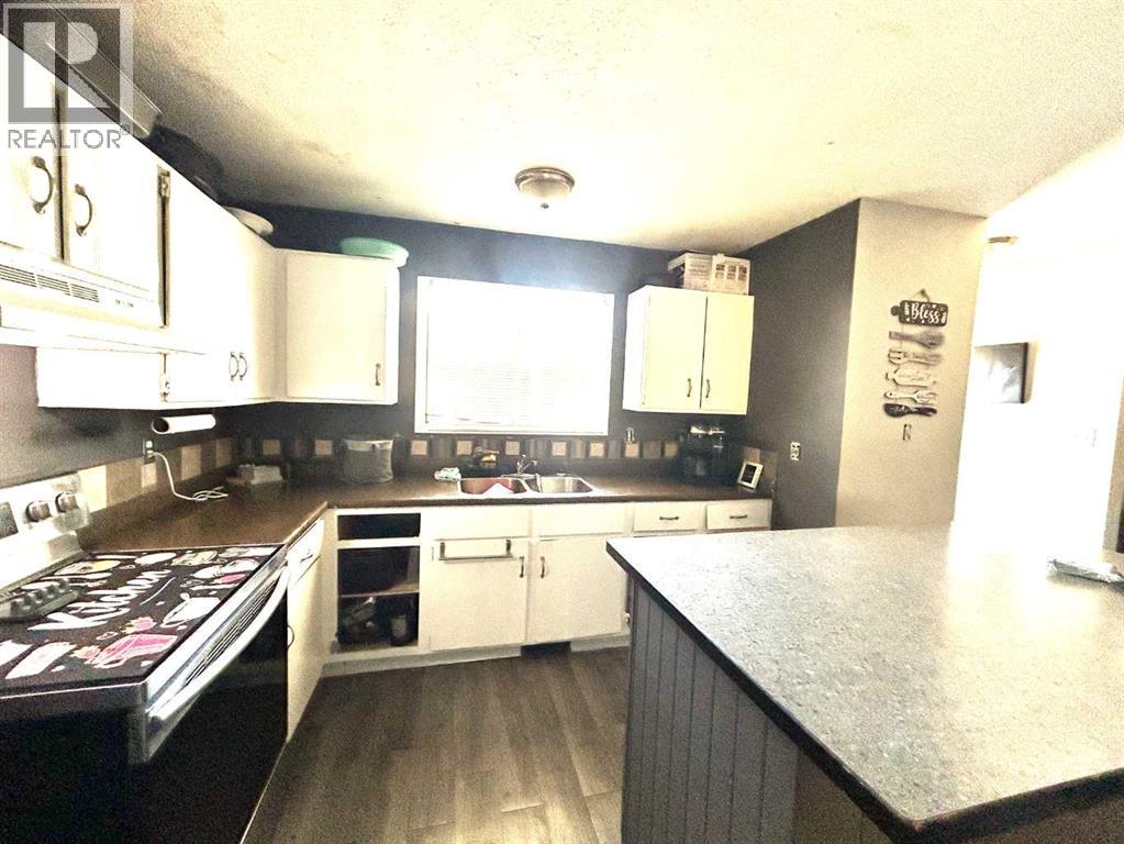 161 Ingram Park Drive E, Brooks, Alberta  T1R 0J8 - Photo 8 - A2306529