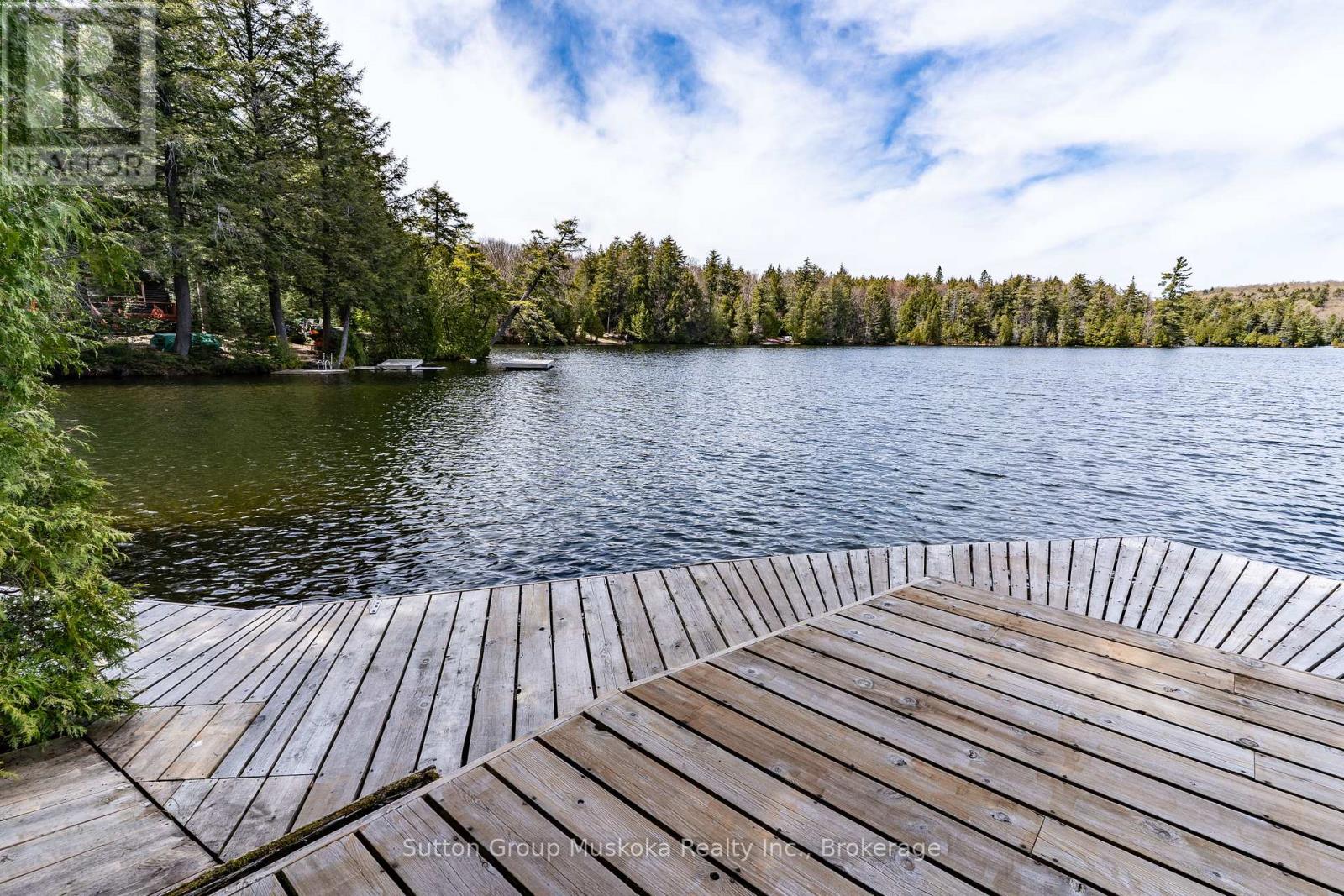 1131 - A West Camp Lake Road, Lake Of Bays, Ontario  P0A 1H0 - Photo 11 - X13144058