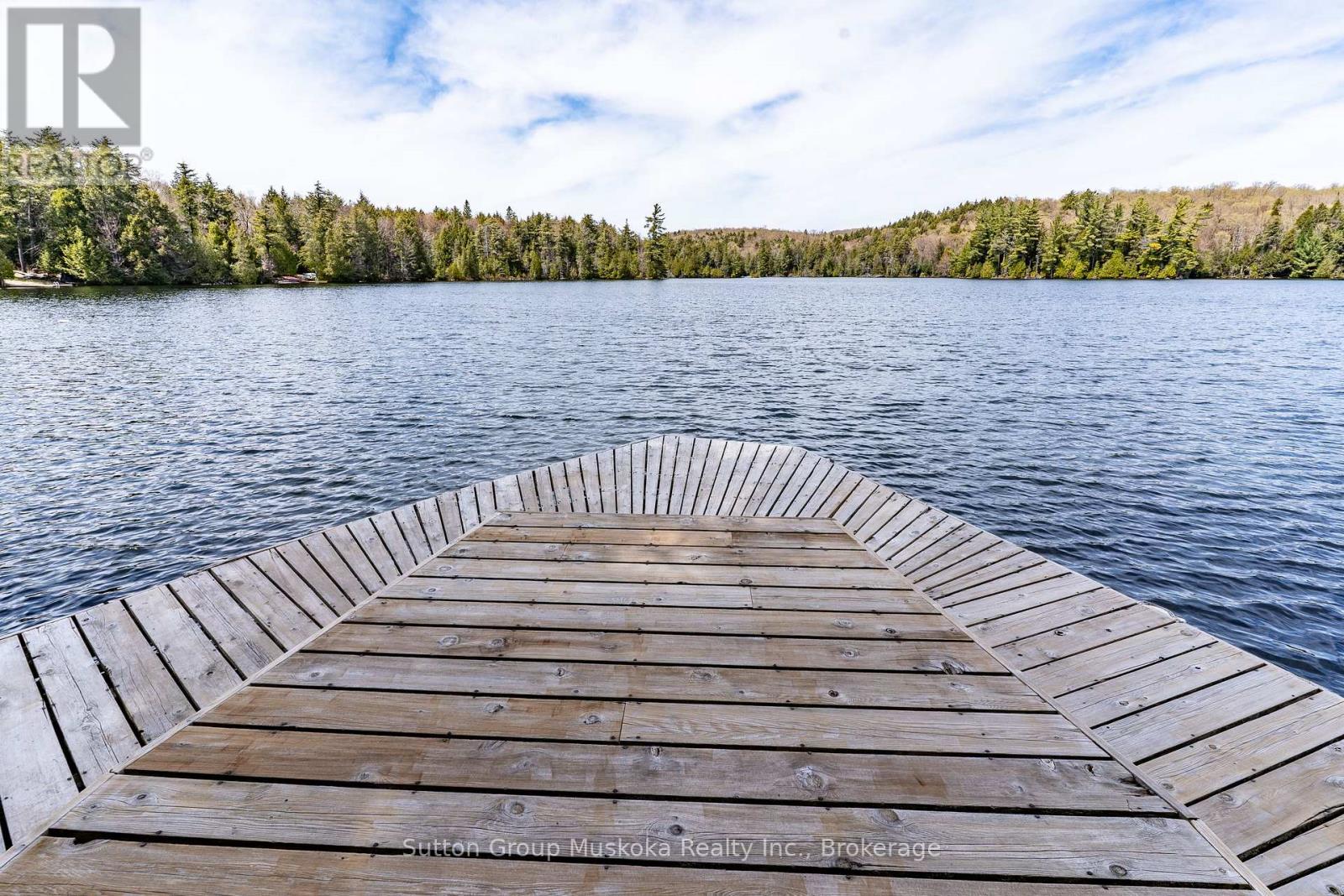 1131 - A West Camp Lake Road, Lake Of Bays, Ontario  P0A 1H0 - Photo 15 - X13144058