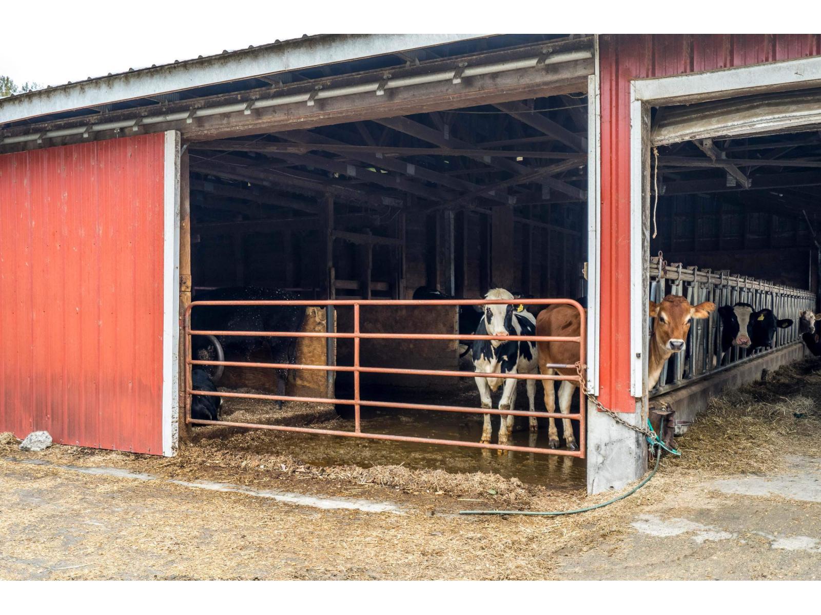 42872 South Sumas Road, Greendale, Chilliwack, British Columbia  V2R 4L7 - Photo 33 - R3124707