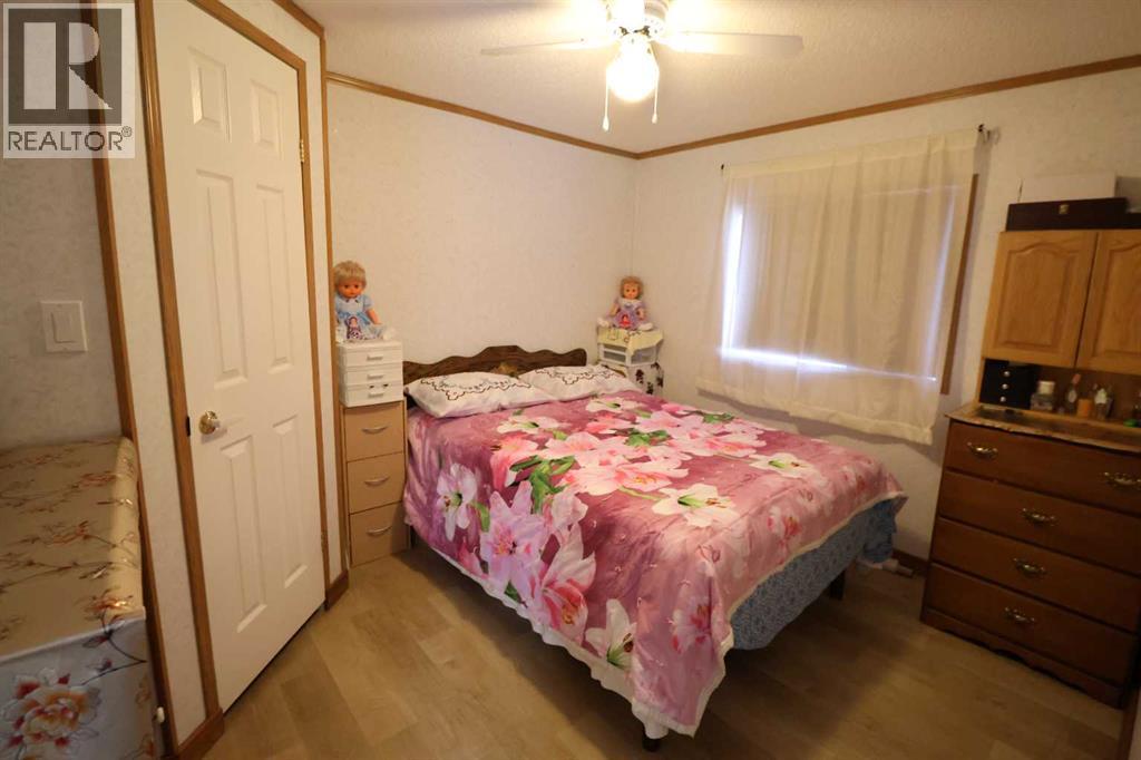 317 4 St, Bow Island, Alberta  T0K 0G0 - Photo 13 - A2284087