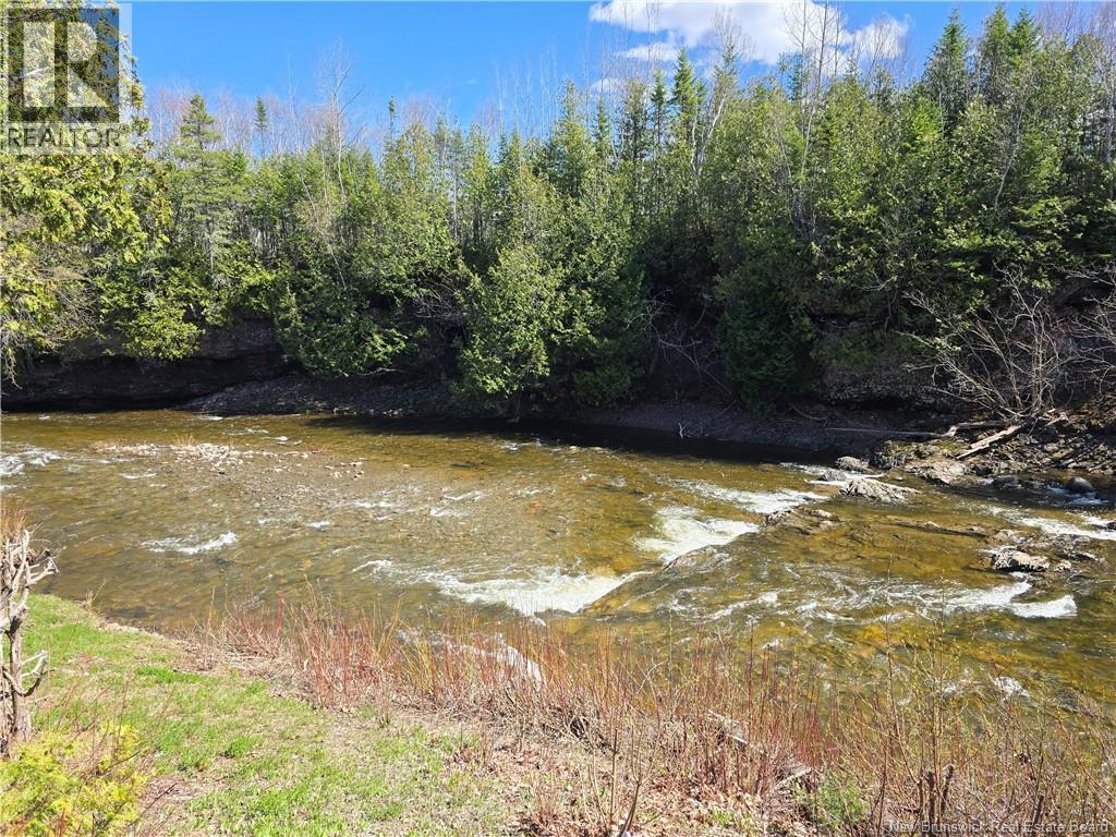 429 Acadie, Beresford, New Brunswick  E8K 2C6 - Photo 10 - NB138792