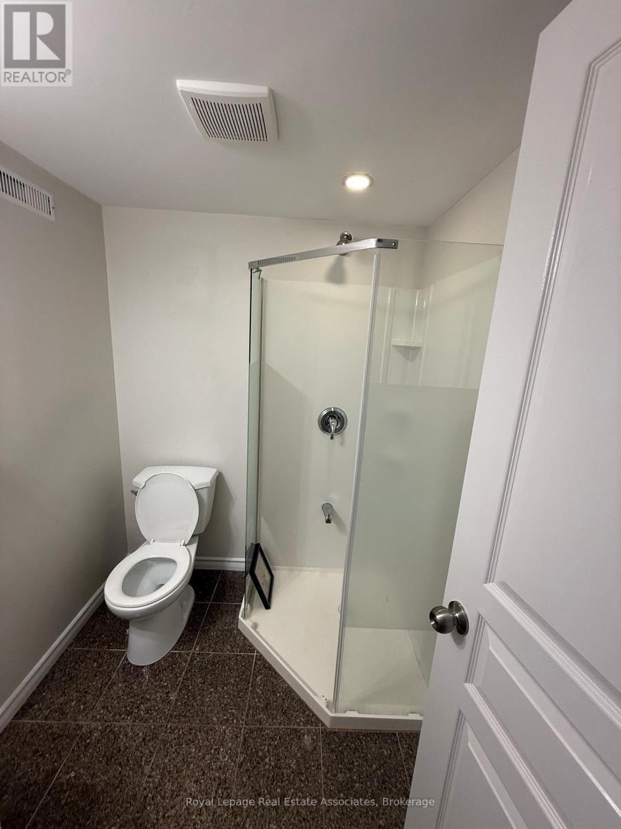 Basement - 135 Monarch Street, Welland, Ontario  L3B 5N8 - Photo 15 - X12955984