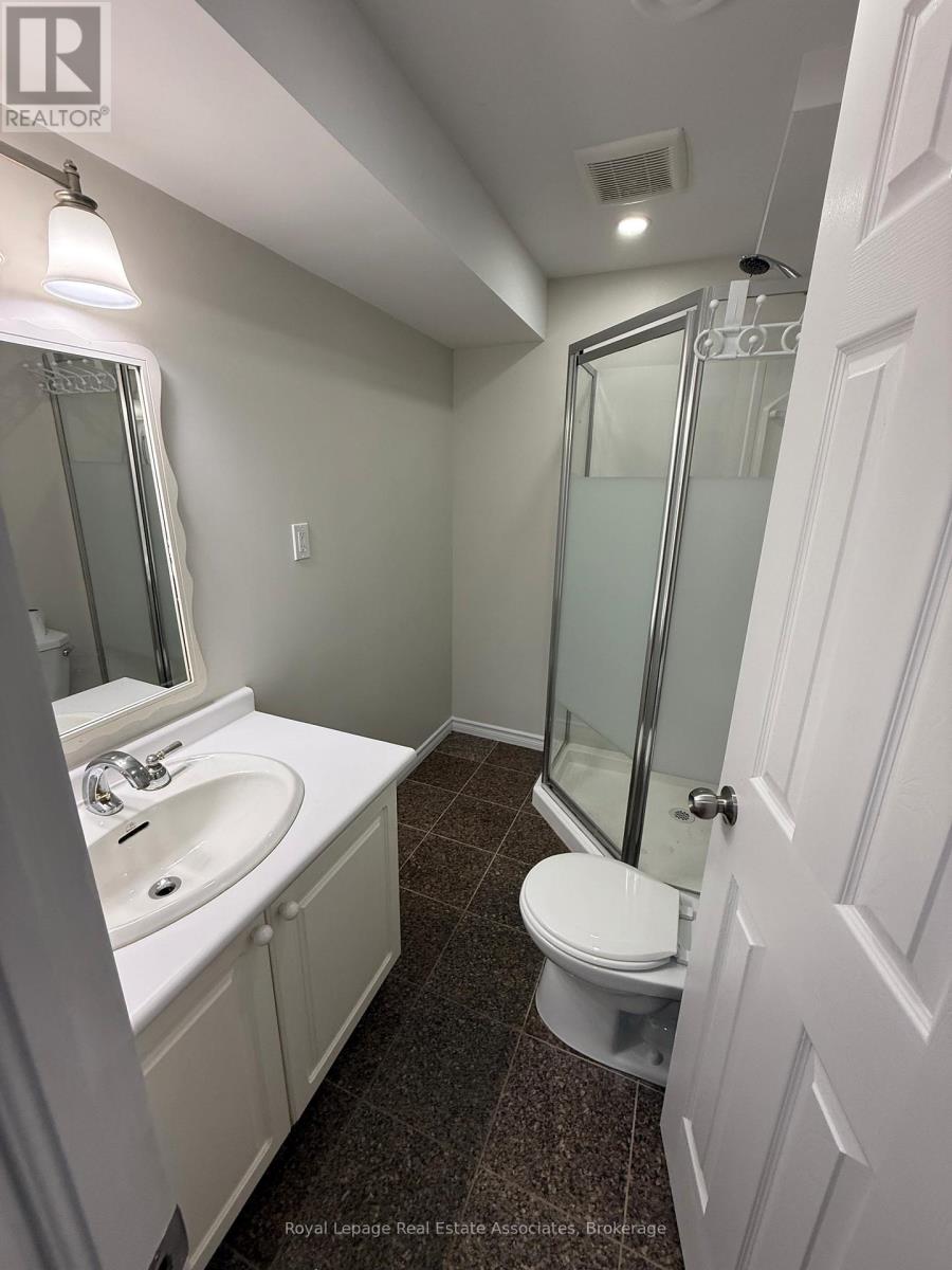 Basement - 135 Monarch Street, Welland, Ontario  L3B 5N8 - Photo 25 - X12955984