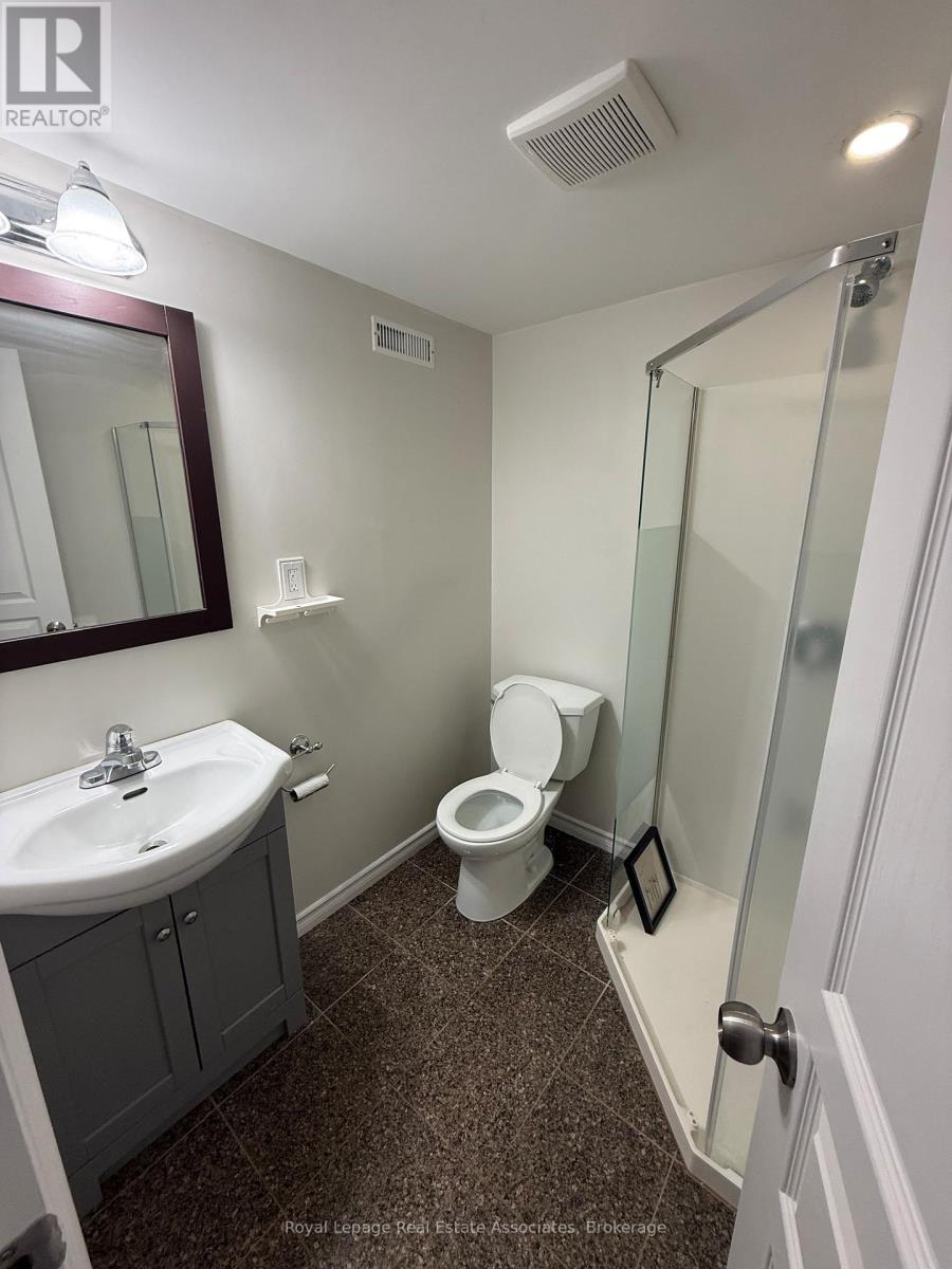 Basement - 135 Monarch Street, Welland, Ontario  L3B 5N8 - Photo 14 - X12955984