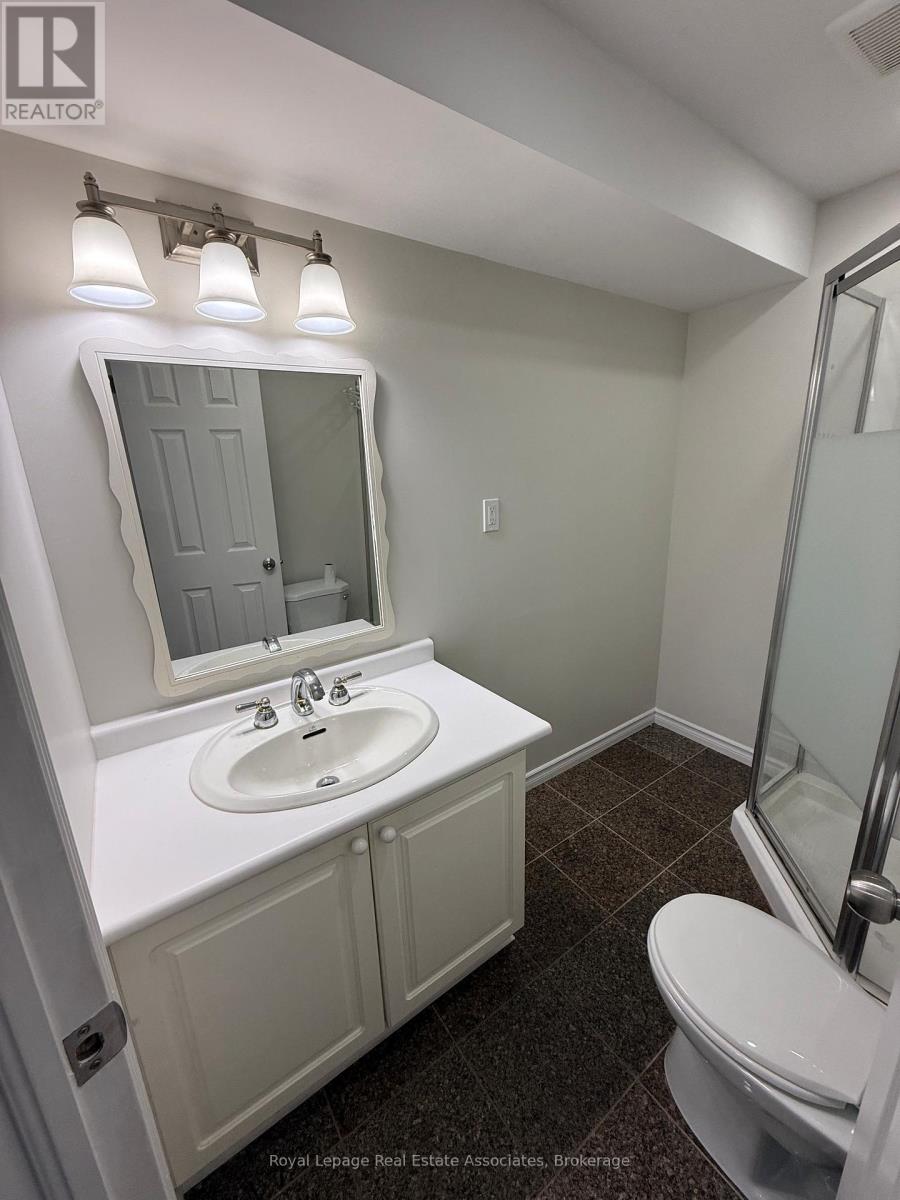 Basement - 135 Monarch Street, Welland, Ontario  L3B 5N8 - Photo 26 - X12955984