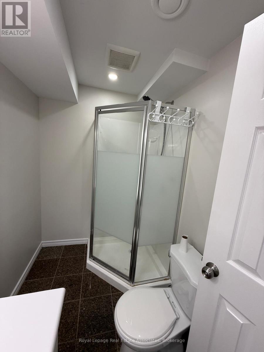Basement - 135 Monarch Street, Welland, Ontario  L3B 5N8 - Photo 27 - X12955984