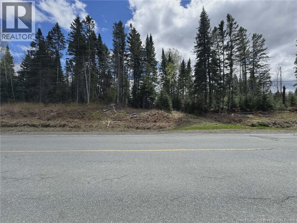 Route 205, Saint-François-De-Madawaska, New Brunswick  E7A 1R8 - Photo 5 - NB137155
