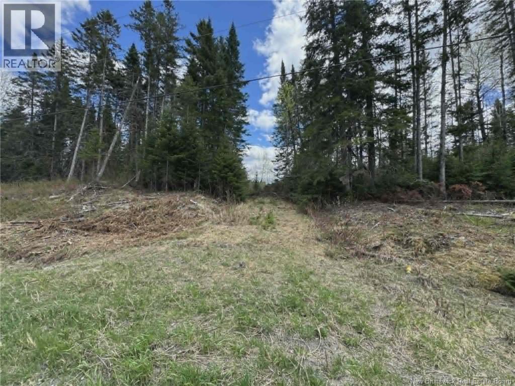 Route 205, Saint-François-De-Madawaska, New Brunswick  E7A 1R8 - Photo 2 - NB137155