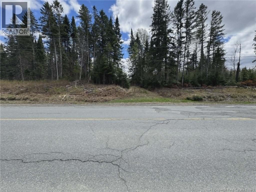 Route 205, Saint-François-De-Madawaska, New Brunswick  E7A 1R8 - Photo 4 - NB137155