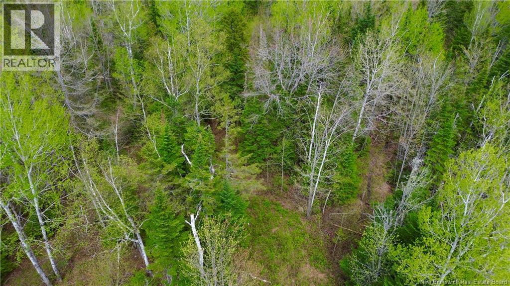 Lot Newburg Road, Woodstock, New Brunswick  E7N 1N5 - Photo 3 - NB139400
