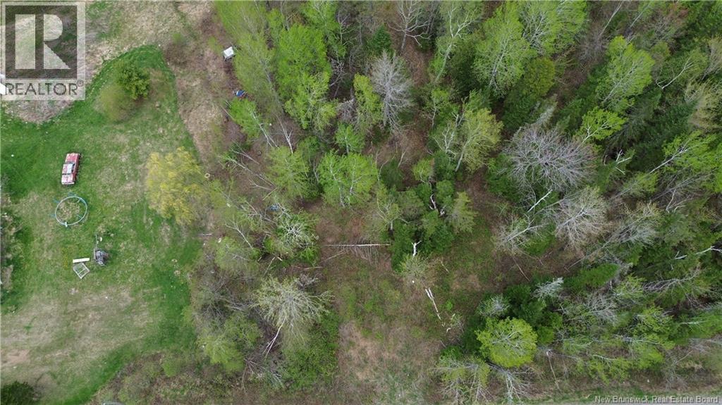 Lot Newburg Road, Woodstock, New Brunswick  E7N 1N5 - Photo 5 - NB139400