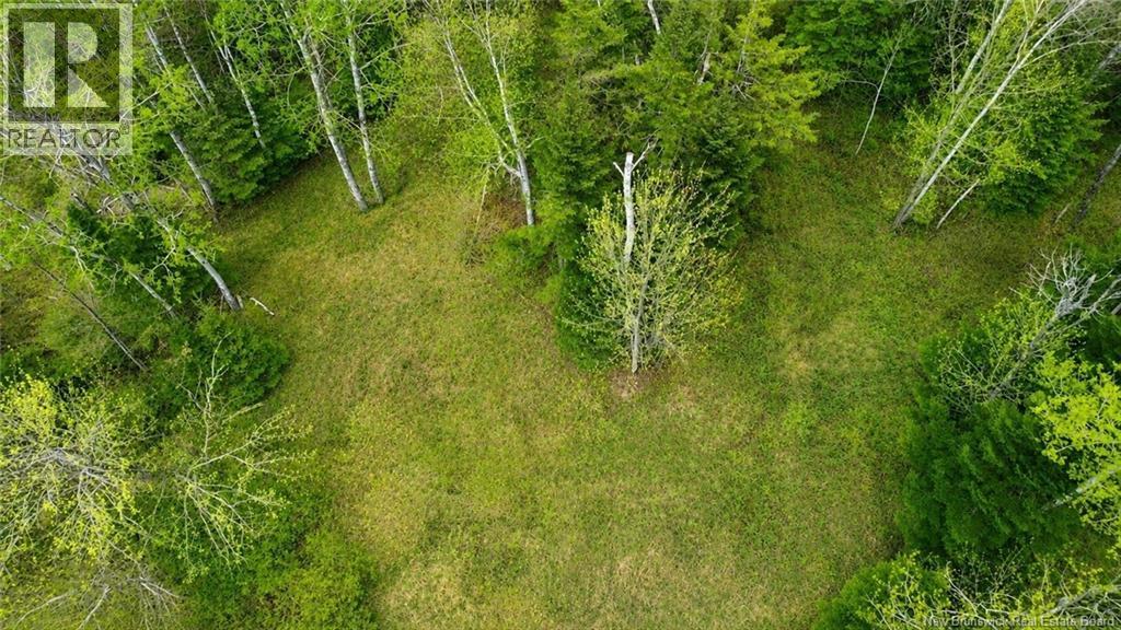 Lot Newburg Road, Woodstock, New Brunswick  E7N 1N5 - Photo 6 - NB139400