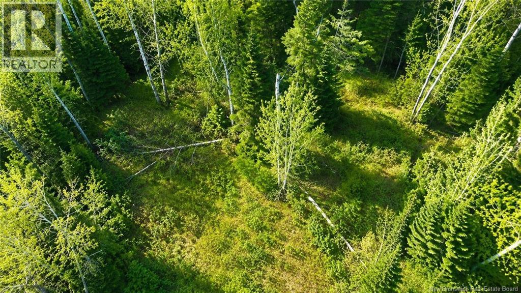 Lot Newburg Road, Woodstock, New Brunswick  E7N 1N5 - Photo 2 - NB139400