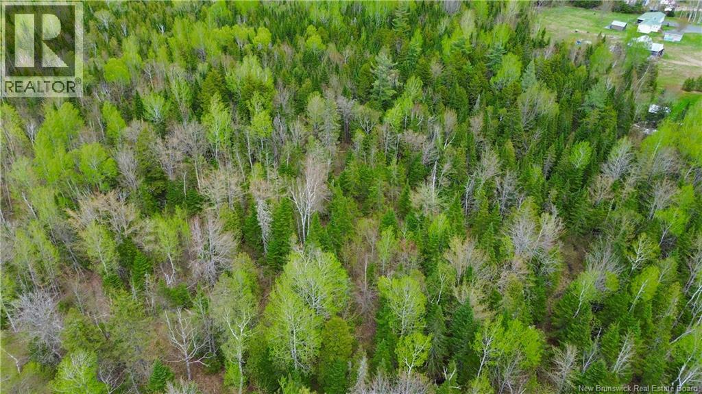 Lot Newburg Road, Woodstock, New Brunswick  E7N 1N5 - Photo 4 - NB139400