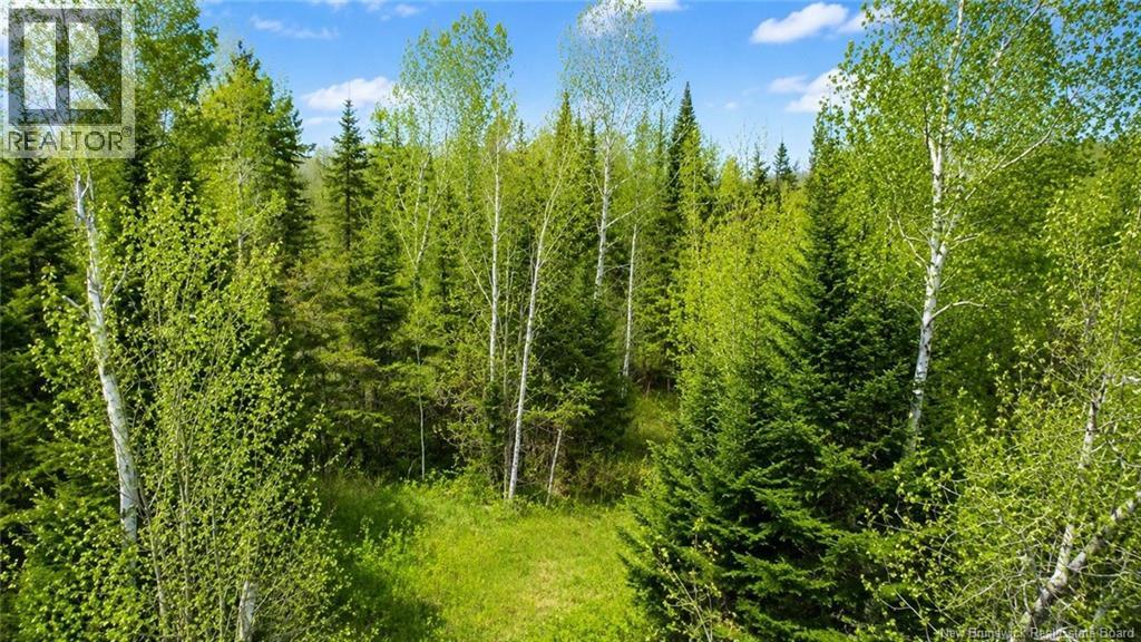 Lot Newburg Road, Woodstock, New Brunswick  E7N 1N5 - Photo 1 - NB139400